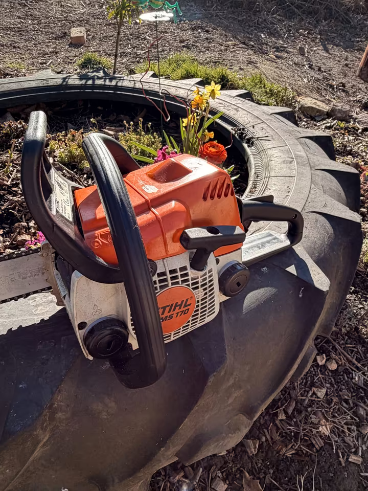Motosierra Stihl MS170
