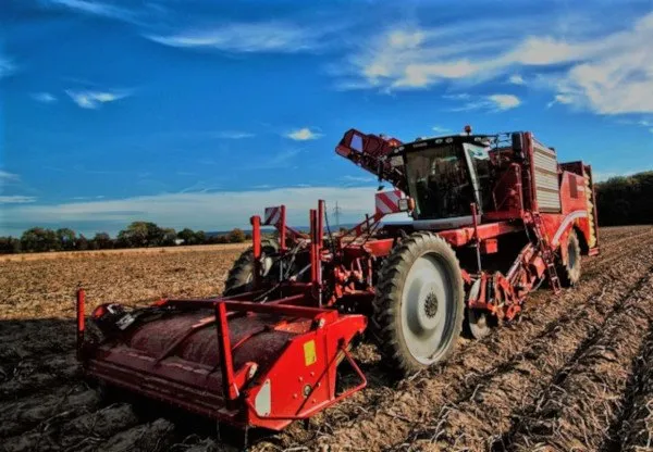 Cosecha de papas mecanizada 🥔