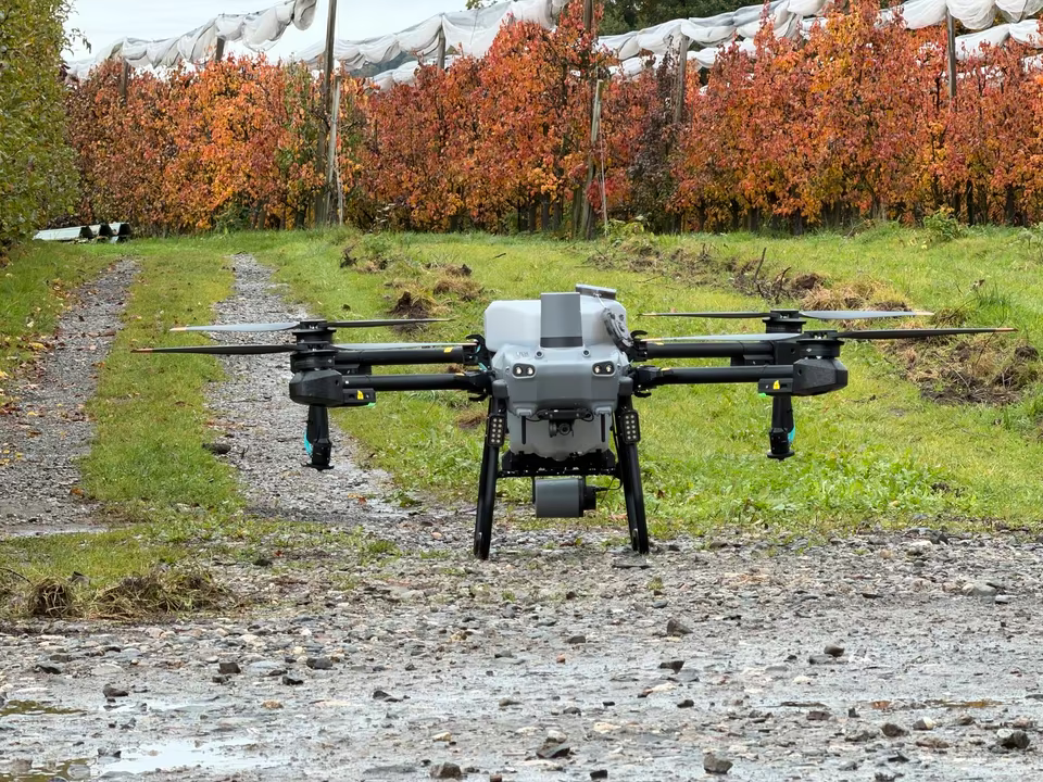 Fumigación express con drone